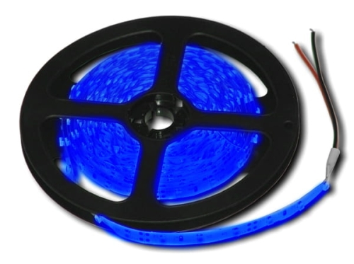 Taśma LED LS48P 24W (4,8W/m) Niebieski